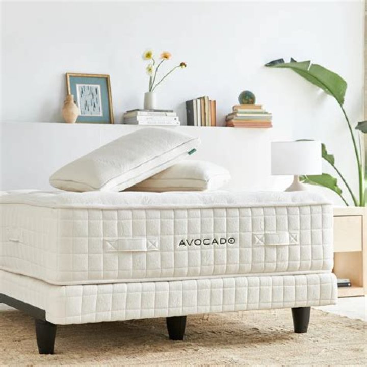 Are avocado mattresses worth