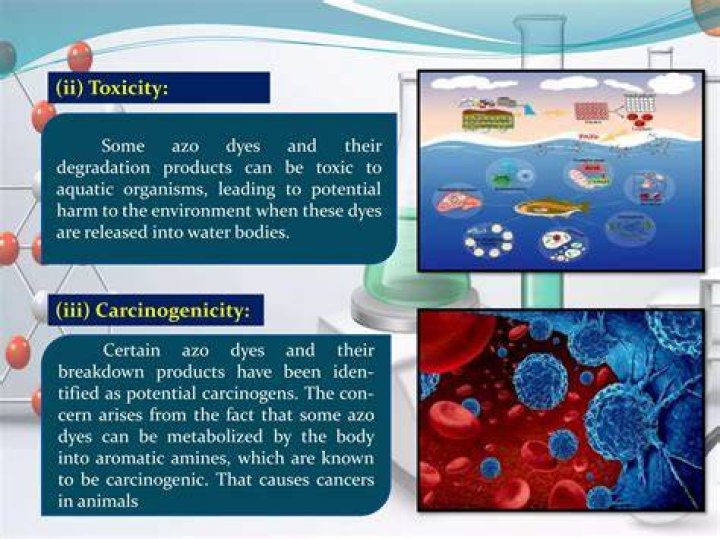Are azo dyes toxic