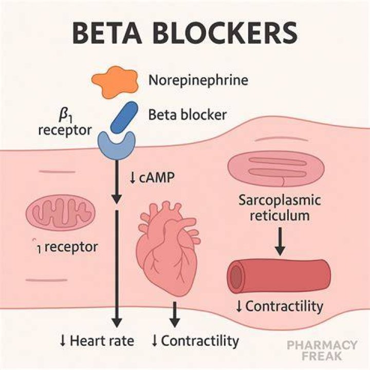 Are beta blockers vasodilators