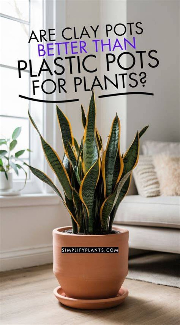 Are clay pots better than plastic pots