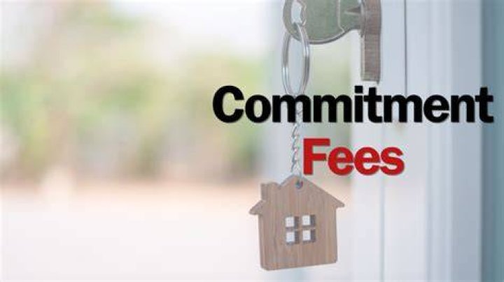 Are commitment fees Interest expense