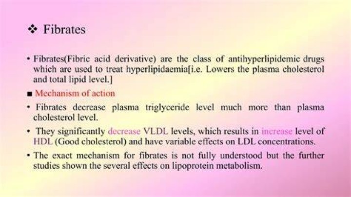 Are fibrates dangerous