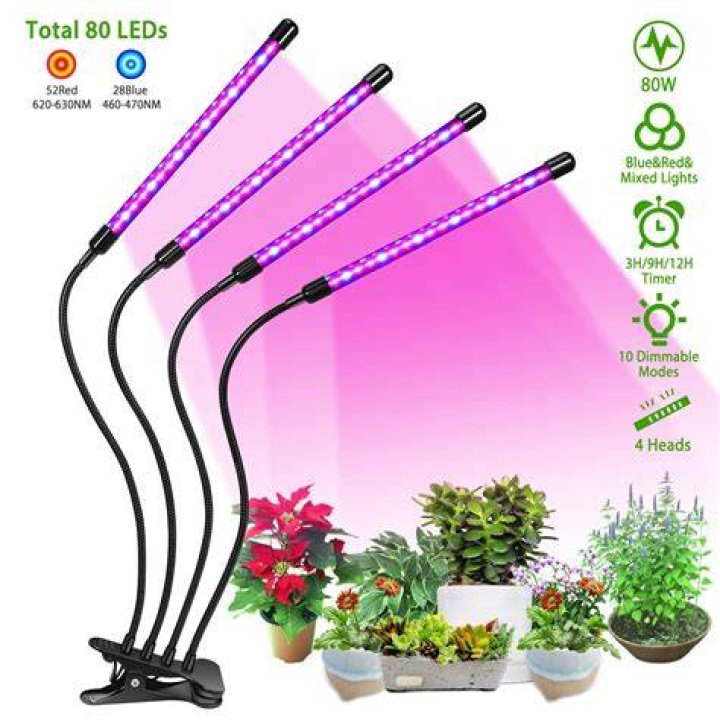 Are halogen lights good for plants