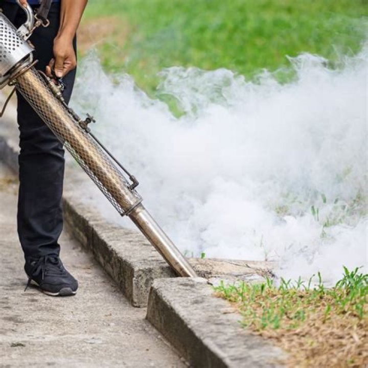 Are yard foggers effective