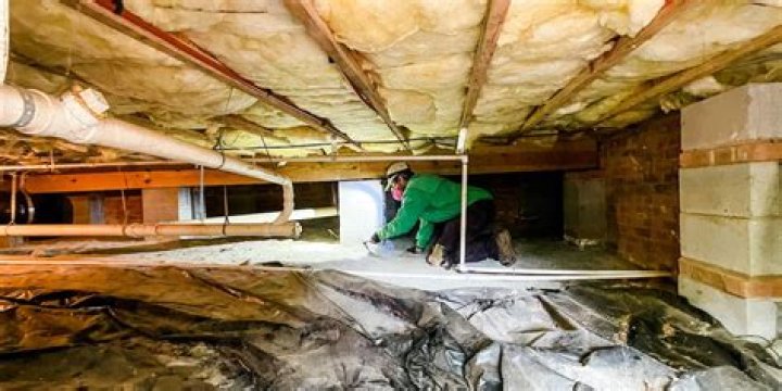 Can ants crawl on the ceiling