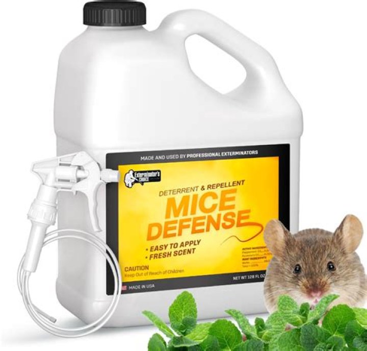 Can fumigation kill rats