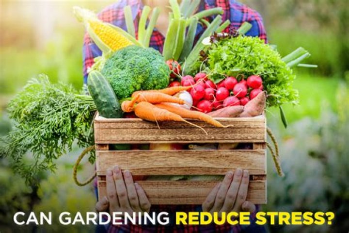Can gardening reduce stress