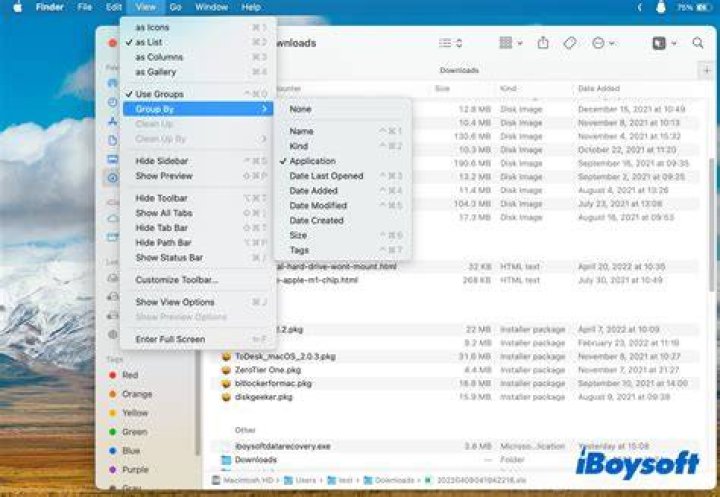 Can I download Explorer on a Mac
