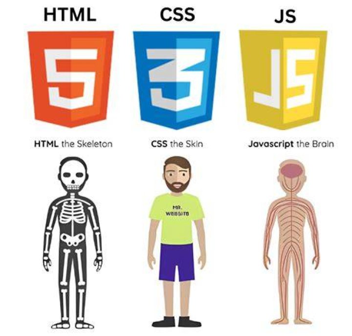 Can I use JavaScript in Django