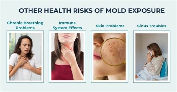 Can mold exposure make you nauseous