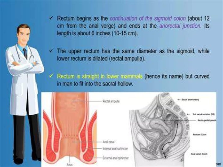Can nurses do rectal examinations