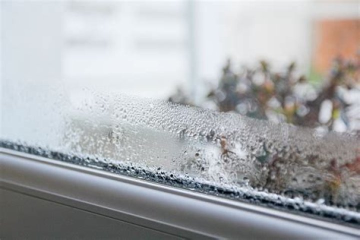Can plants stop condensation