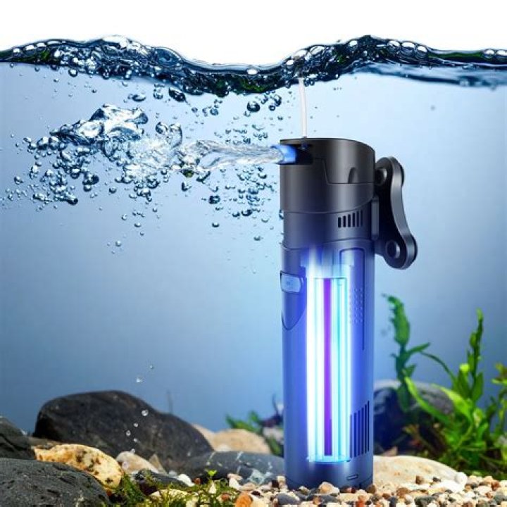 Can UV kill algae