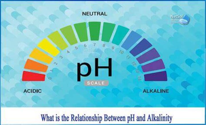 Can you add pH and alkalinity at the same time