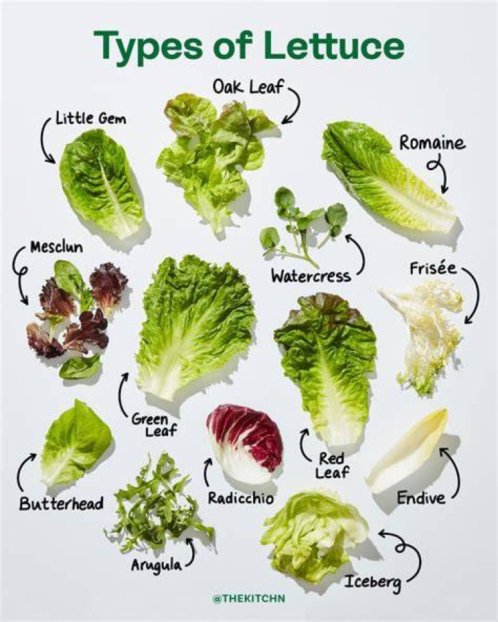 Can you cook leaf lettuce