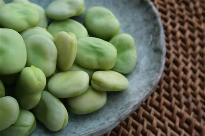 Can you eat broad beans with rust