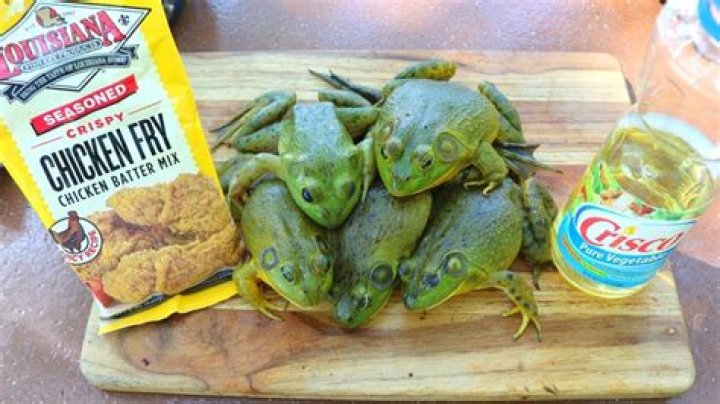 Can you eat bullfrogs