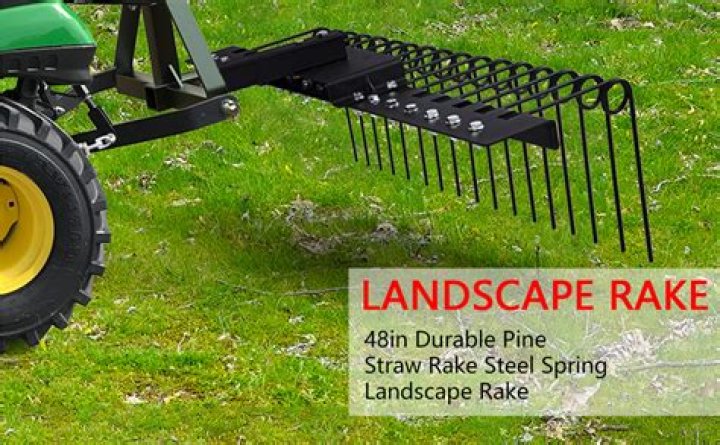 Can you power rake in the spring