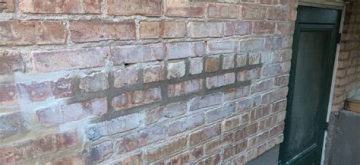 Do ants eat brick mortar