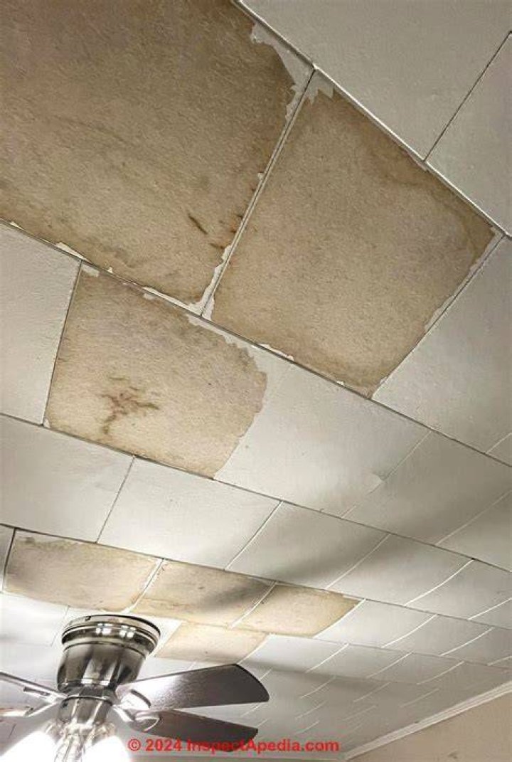 Do asbestos ceiling tiles burn