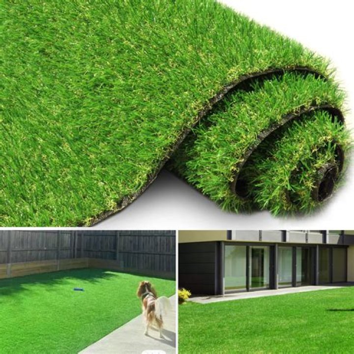 Do cats poo on artificial grass