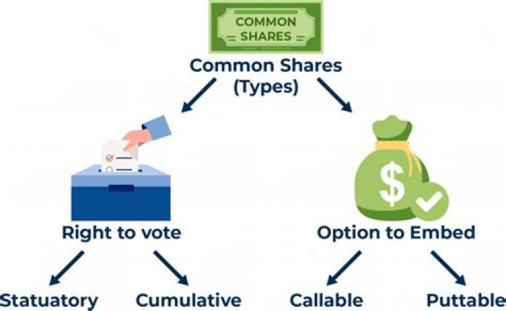 Do common shareholders have voting rights
