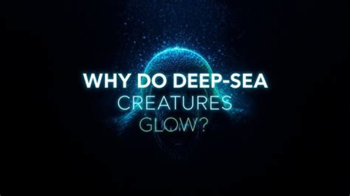 Do deep sea creatures glow