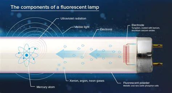 Do fluorescent lights affect brain