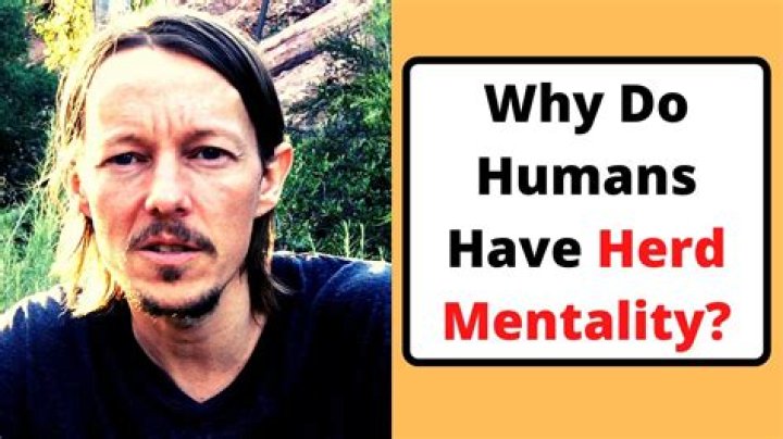 Do humans have herd mentality