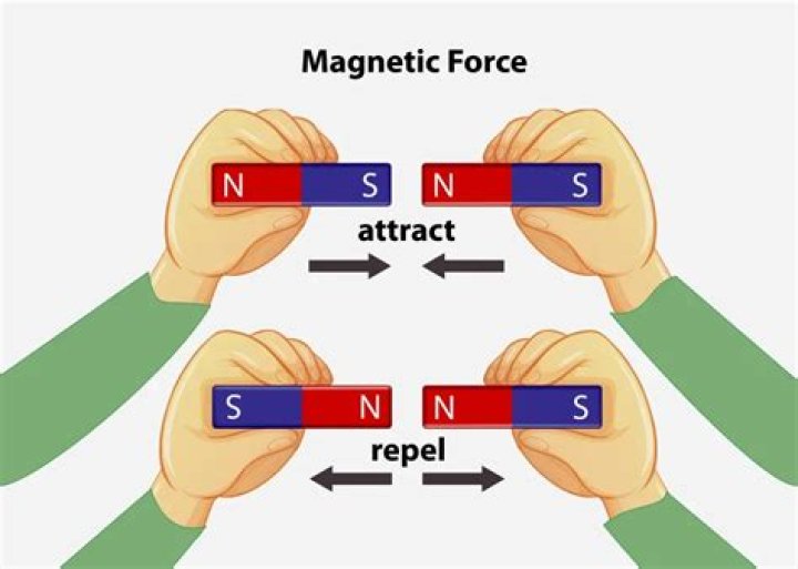 Do magnets affect bees