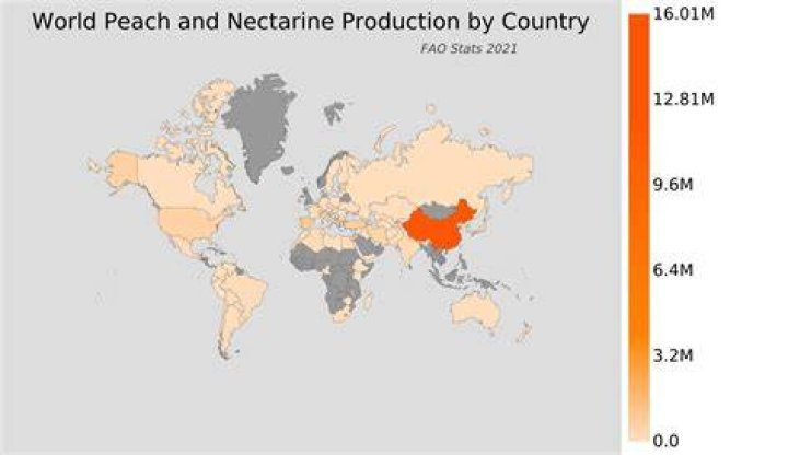 Do peaches come from China