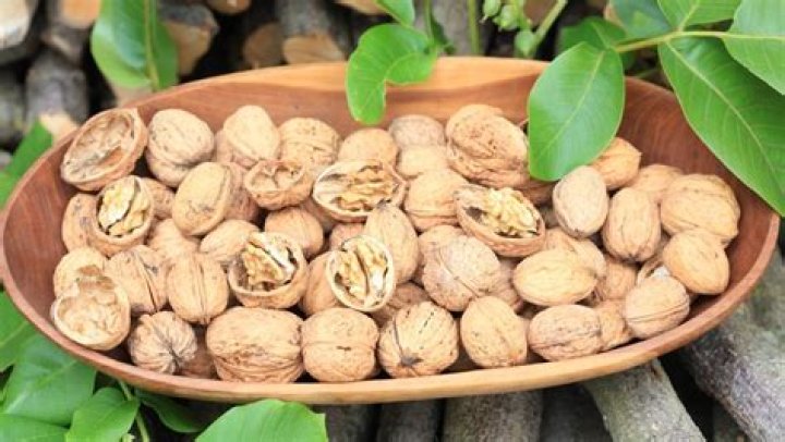 Do walnuts grow in California