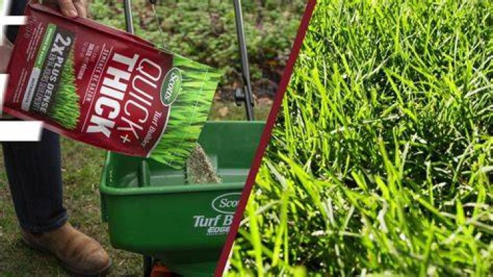 Do you need a spreader for grass seed