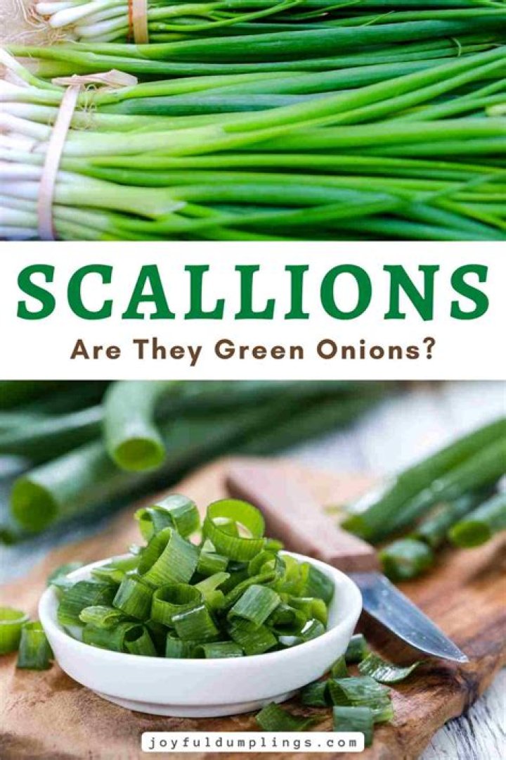 Do you refrigerate scallions
