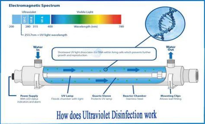 Does a UV light kill parasites