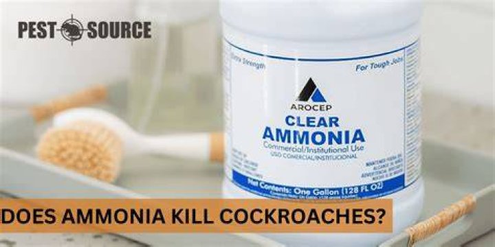 Does ammonia kill birds