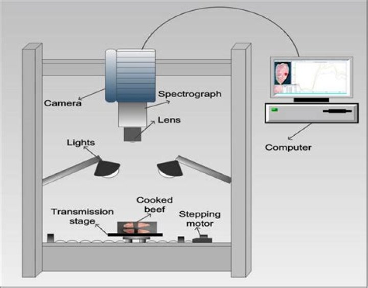 Does an HSI have reverse sensing