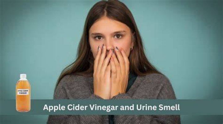 Does apple cider vinegar remove urine smell