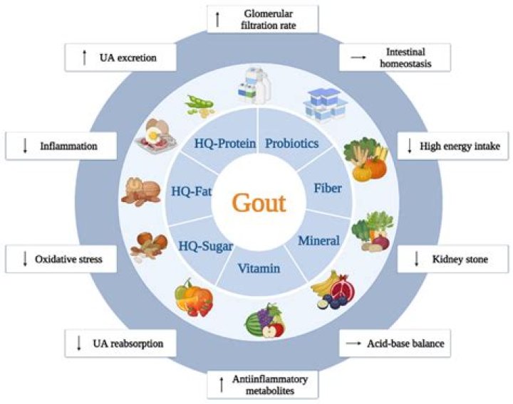 Does aspirin help with gout