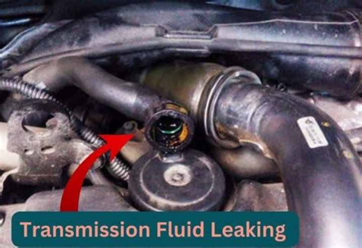 Does AutoZone have transmission fluid