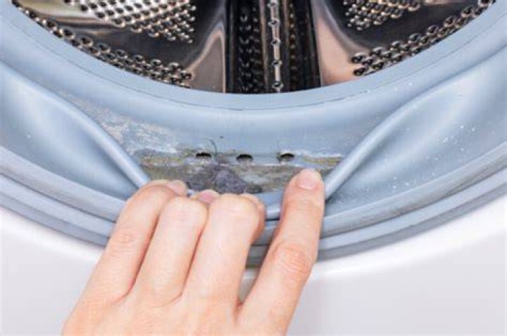 Does bleach kill mold in washing machine