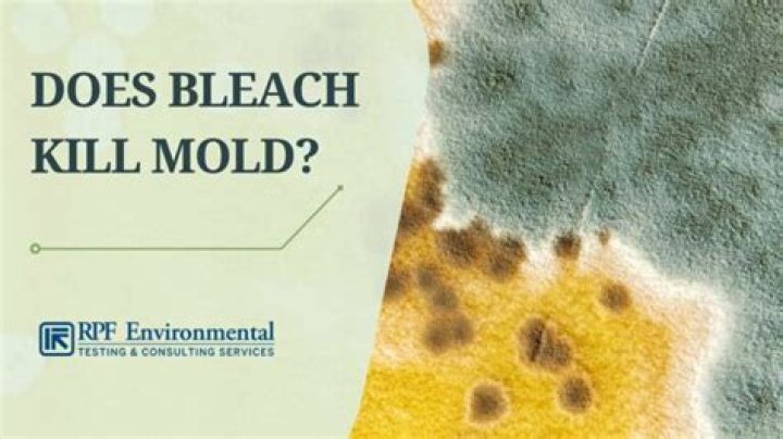 Does bleach kill rid X