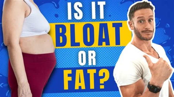 Does bread make you gain belly fat