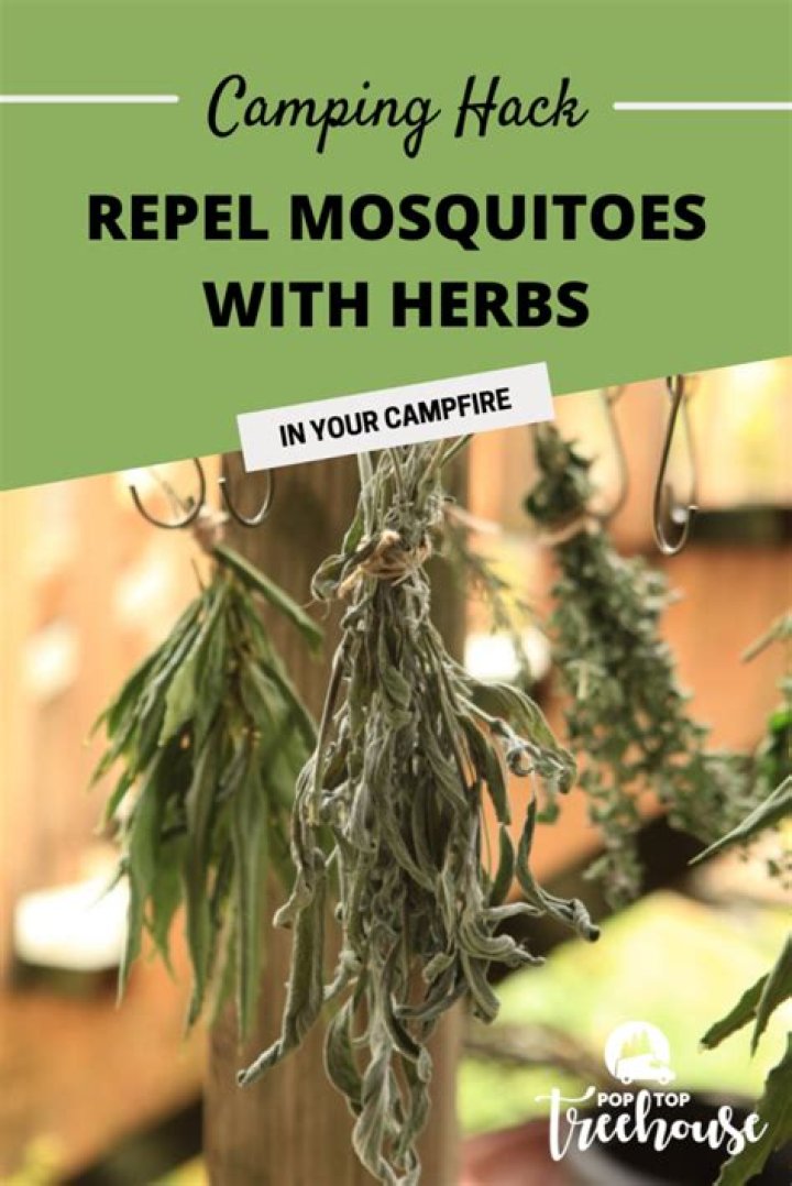 Does campfire keep mosquitoes away
