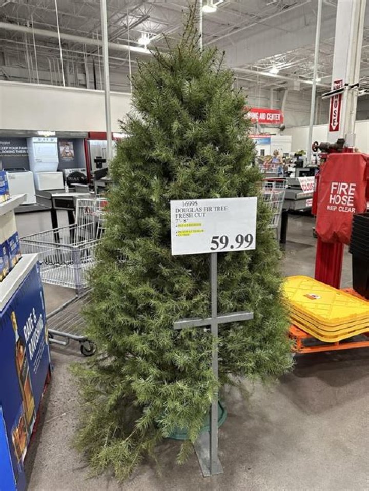Does Costco sell real Christmas trees