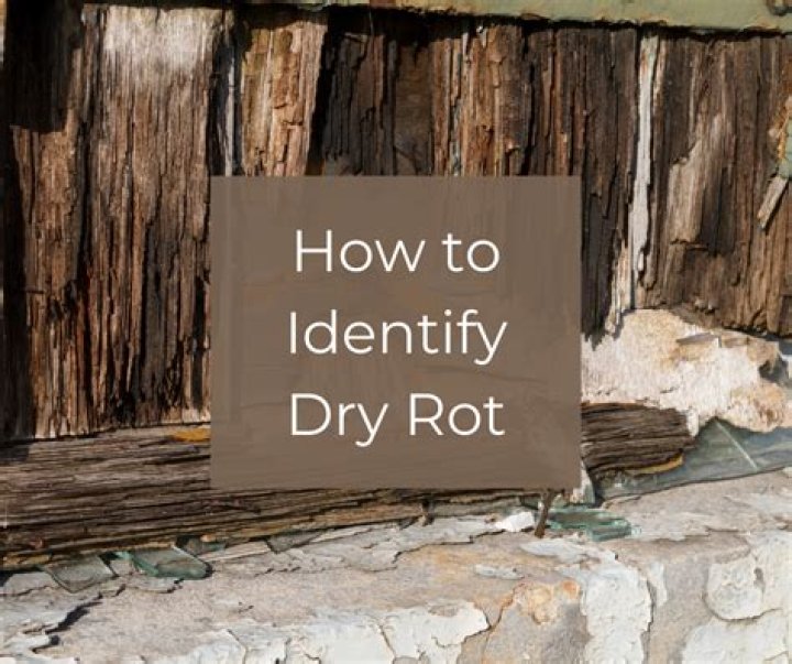 Does dry wood rot stop