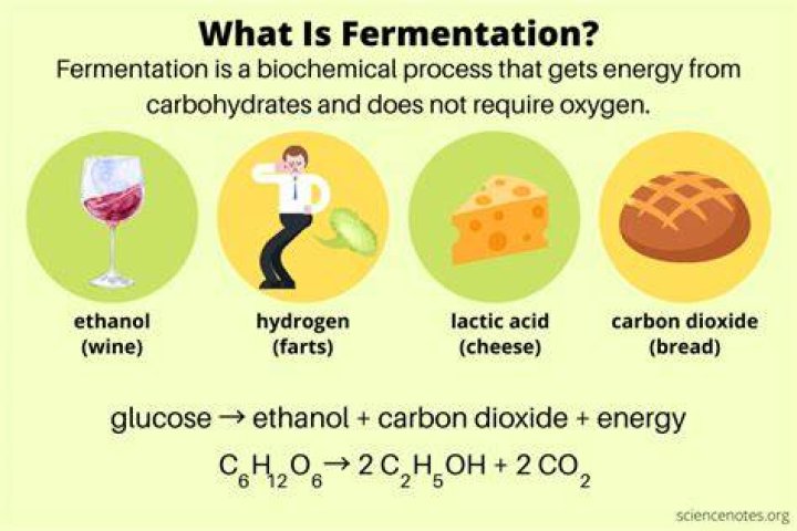 Does fermentation produce hydrogen