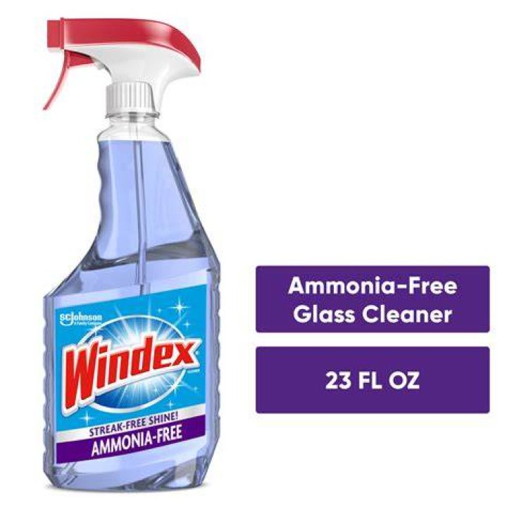 Does Glass Plus have ammonia