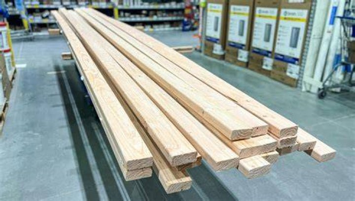 Does Hemlock make good lumber