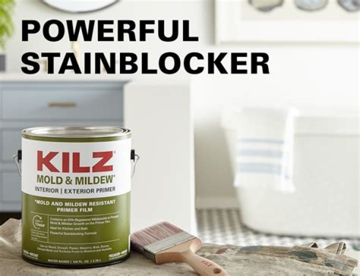 Does Kilz paint kill odors